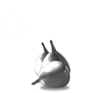 TIN CHOCOLATY